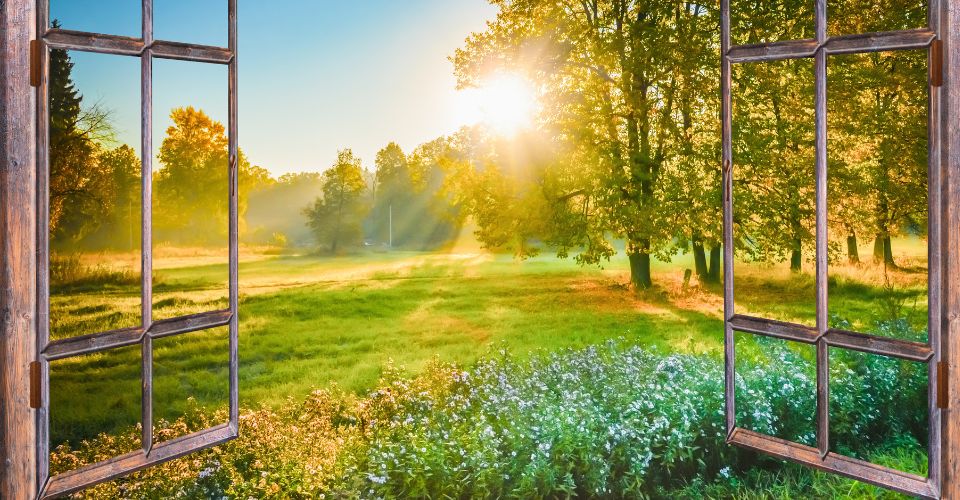 Vlog: The Window of Tolerance